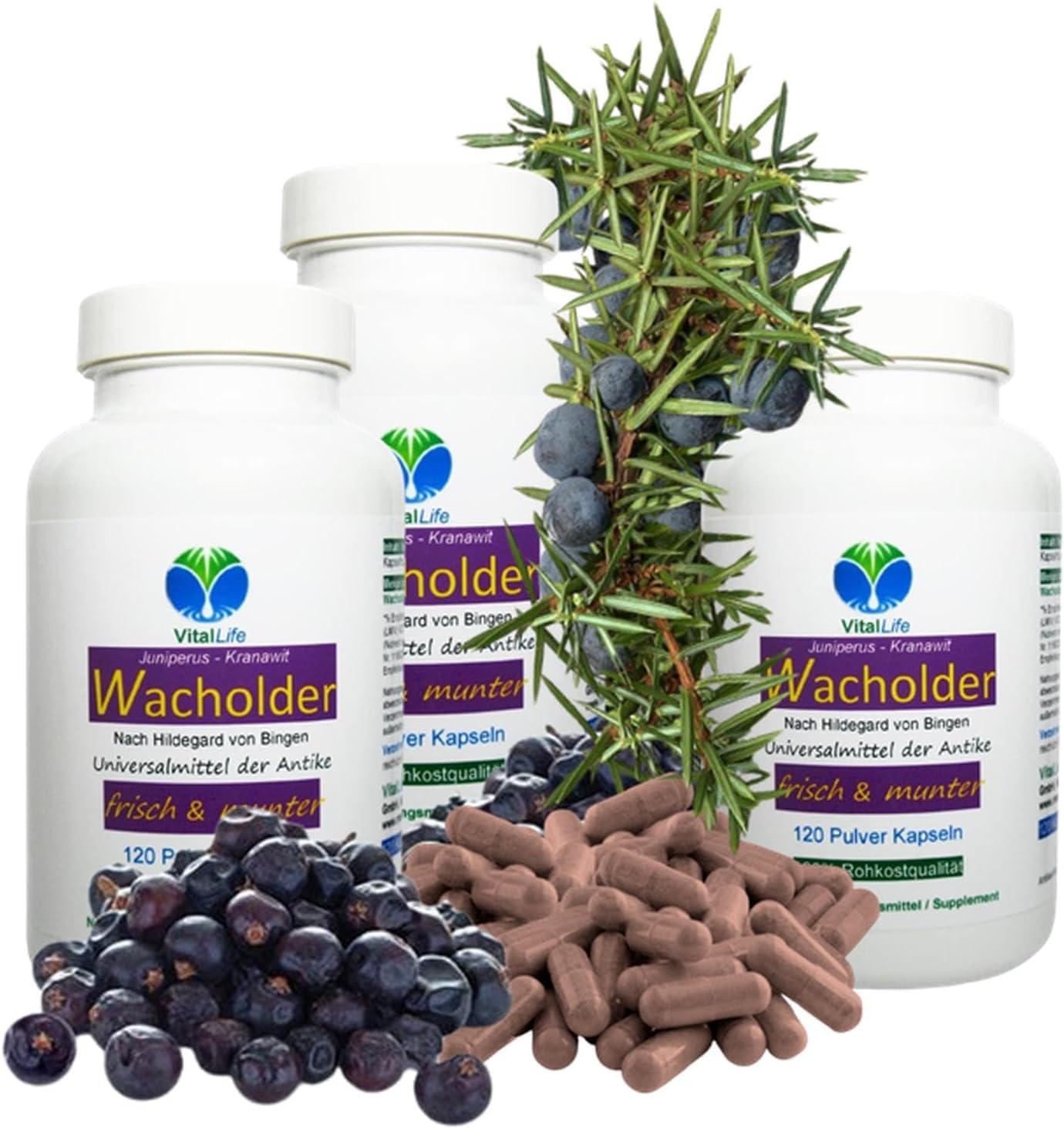 WACHOLDERBEEREN Wacholder 360 (3x120) Kapseln VERDAUUNG Blähungen Völlegefühle Sodbrennen Nieren durchspülen + Wasser ausscheiden. Magen Darm Leber Galle. 100% NATUR pur. 82900-3