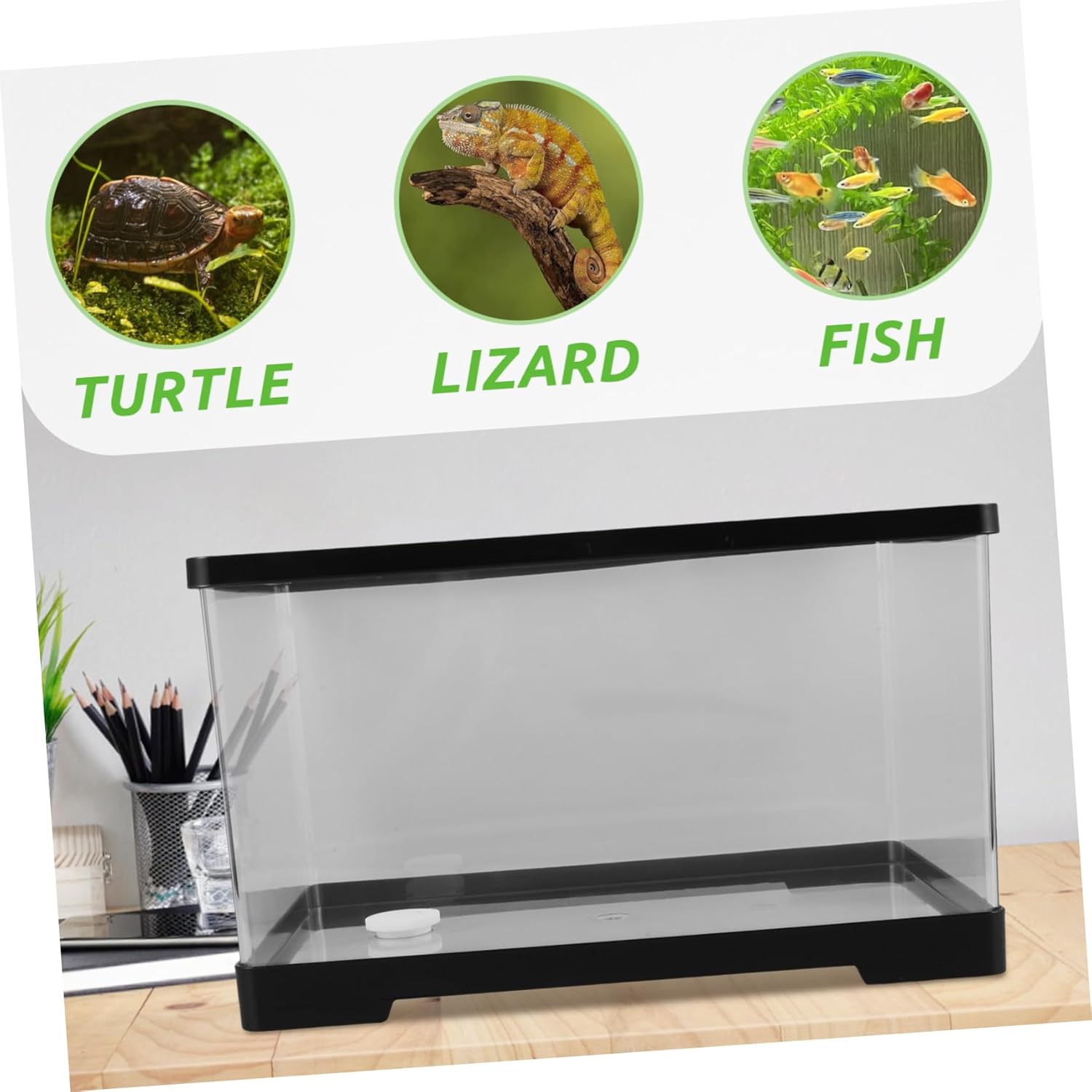 Yardwe Small Turtle Tank Multi-Function Desktop Aquarium for Betta and Acrylic Design for Home Office Garden Decoration Calming Atmosphere