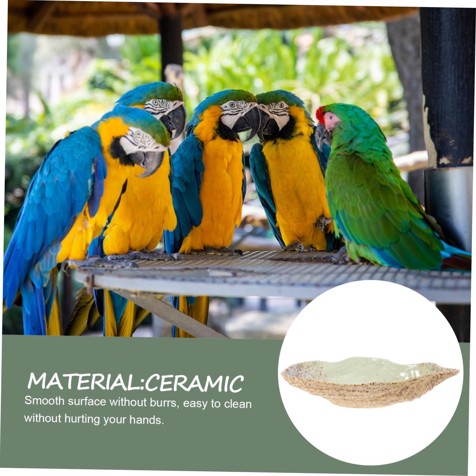Kisangel Mangiatoia per Uccelli per Esterni Design per e Uccelli Piastra Alimentazione per e Materiale Sicuro e Resistente