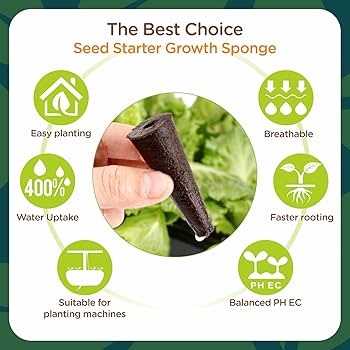 GUAPI種子 Legacy Seeds — Fukuda Seed Store