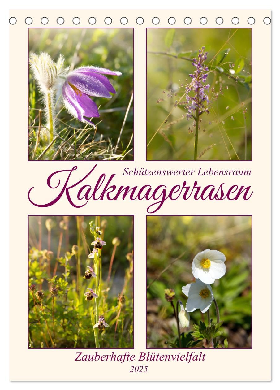Kalkmagerrasen (Tischkalender 2025 DIN A5 hoch), CALVENDO Monatskalender: Ein schützenswerter Lebensraum (CALVENDO Natur)