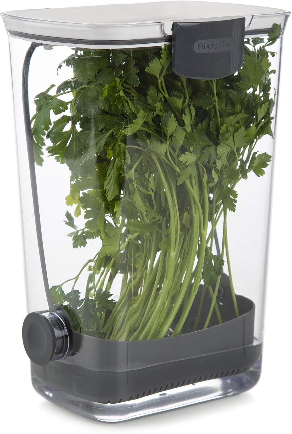 Progressive Prepworks by Flour ProKeeper Herb ProKeeper Regular White