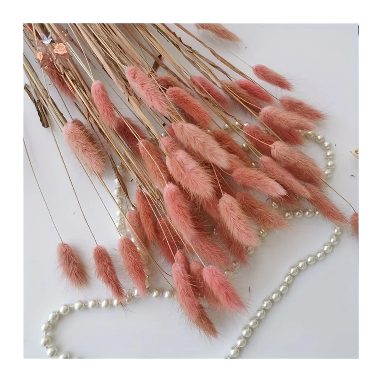 Generico 50/100 pièces d'herbe naturelle de queue de lapin, fleurs séchées pour bouquet de mariée, décoration intérieure et photographie(jaune, 50PCS)