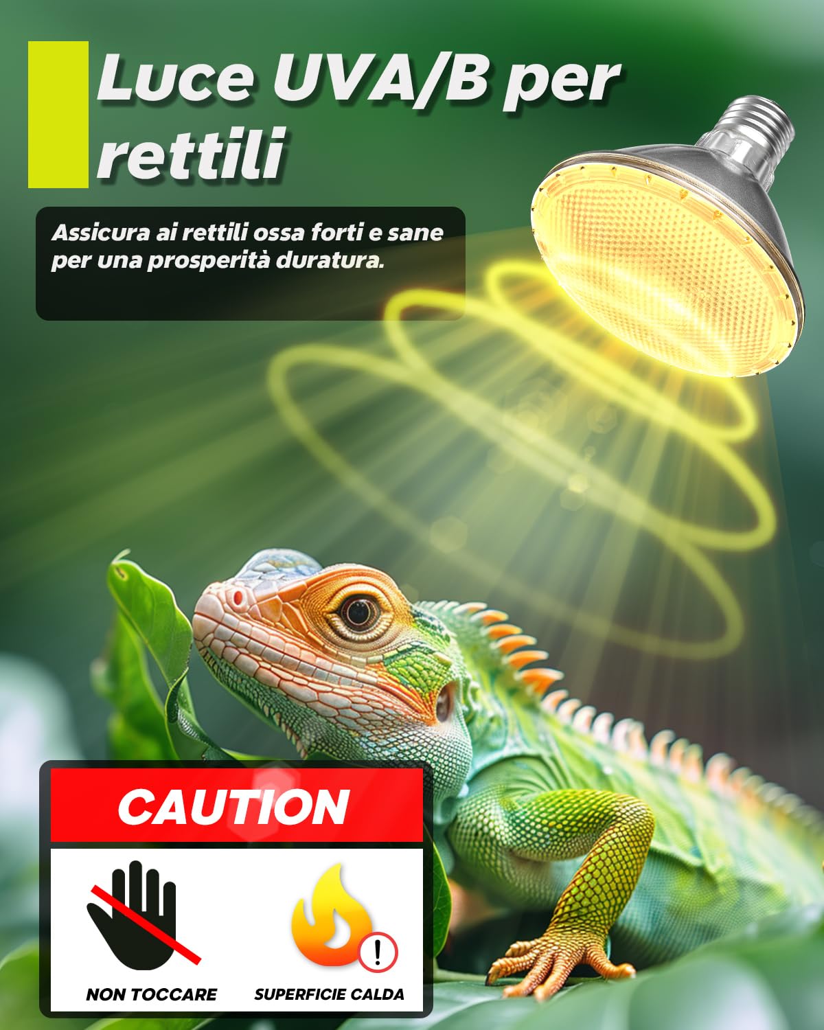 Lampada Riscaldante Rettili 50W E27 - Lampadina A Infrarossi Notturna Dimmerabile Per Terrario - Foto 7