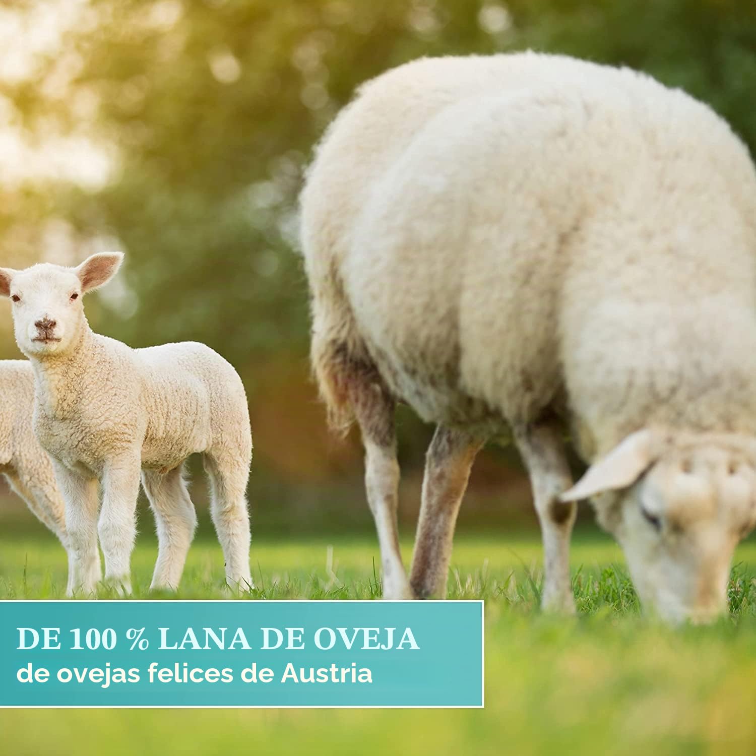 Kährs 710553 - Aceite de satén (1 litro, incluye 4 almohadillas de lana de oveja, incluye aceite de satén)