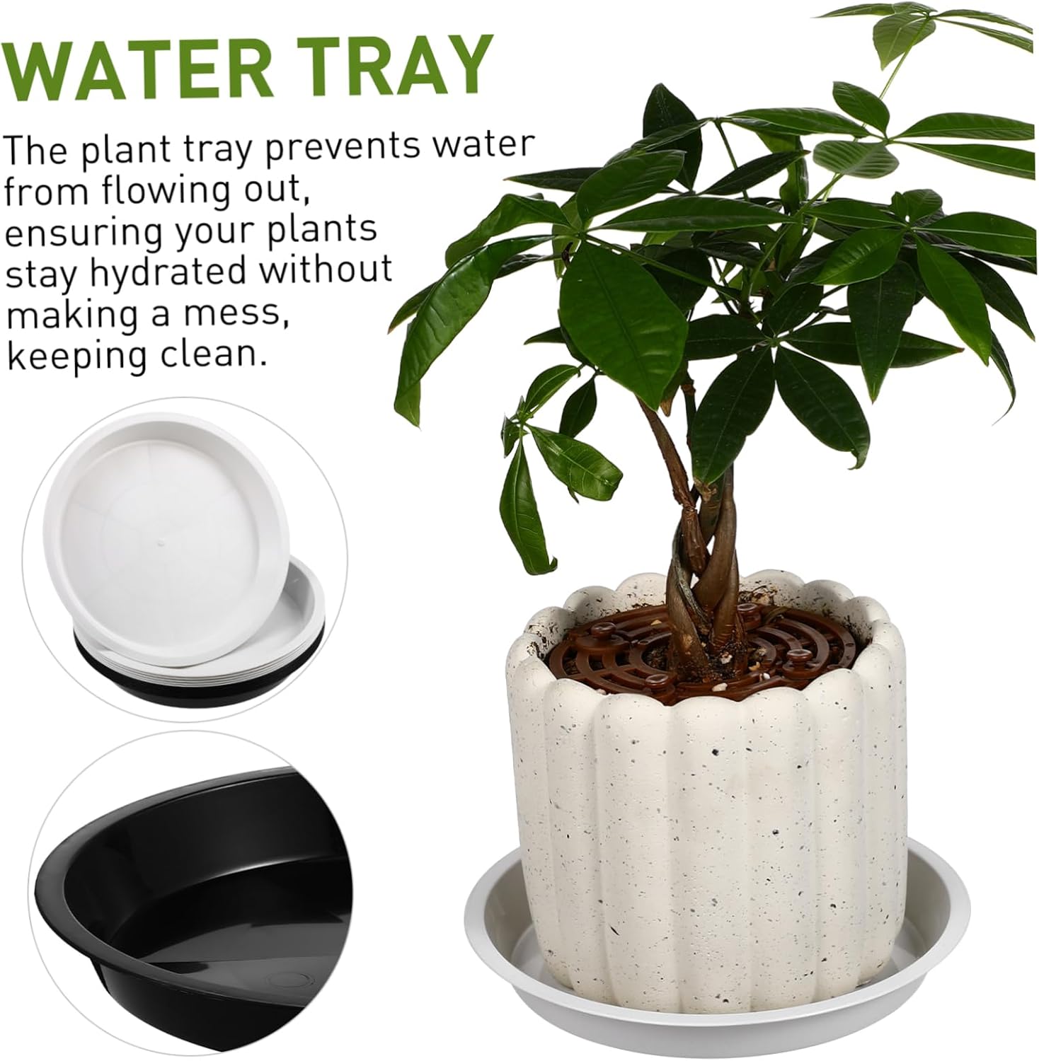 BESTonZON 12Pcs Plant Saucers Durable Round Drainage Trays for Pots Stable Base Water Catcher for Flowers and Succulents