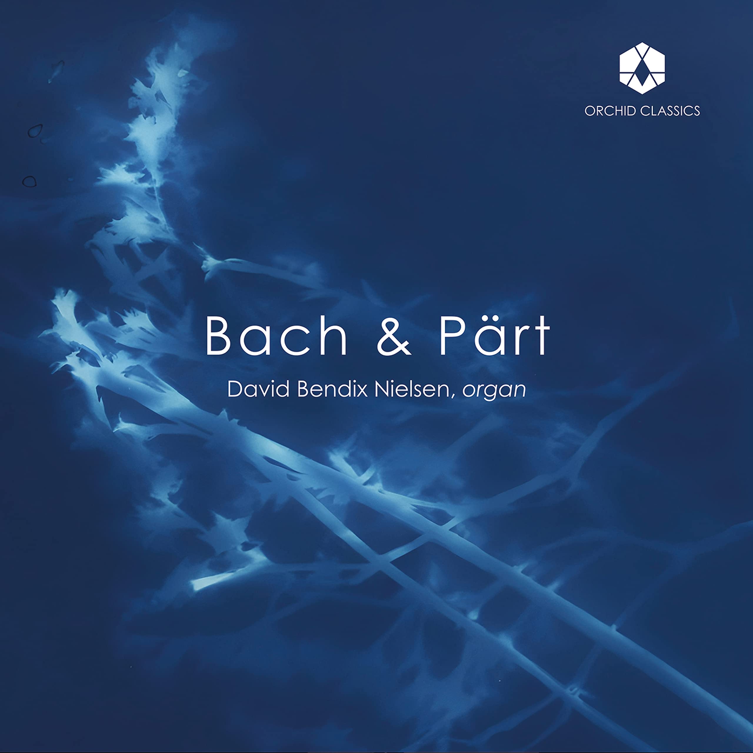 Johann Sebastian Bach & Arvo P?rt: Organ Works