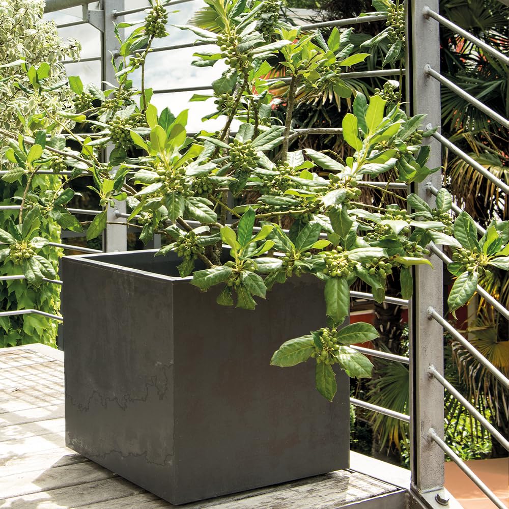 DEROMA Vaso CUBO Millenium 49 CM Antracite