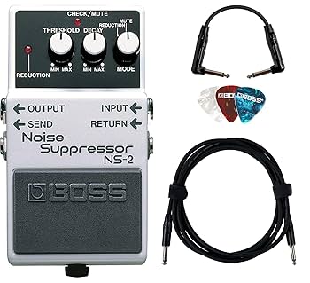 Amazon.com: Boss NS-2 Noise Suppressor Bundle with Gearlux