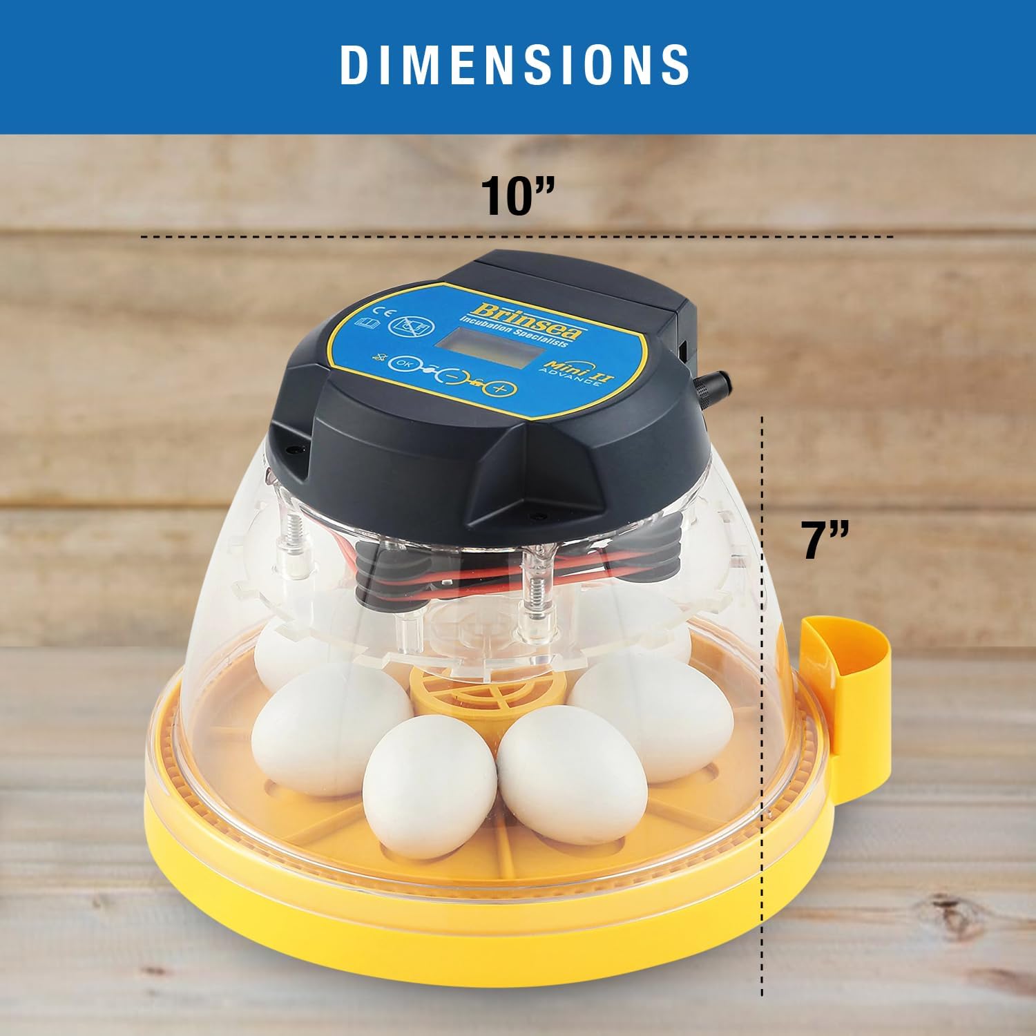 Brinsea Mini II Advance Egg Incubator with Automatic Egg Turning and Temperature Control for Hatching 7 Chicken, Duck, or Other Eggs, Ideal Incubator for Hobbyists, Teachers, and Learners