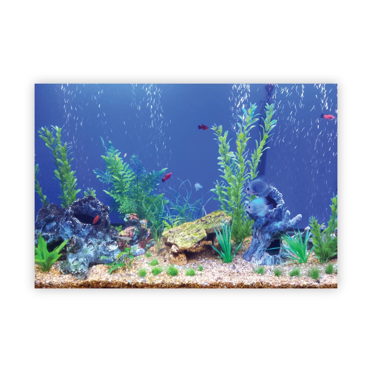 VVWV® Aquirium Background Stickers Fish Tank Vinyl Printed Waterproof Sticker (91 X 41 CMS) (B0BW46LK76) Amazon Price History, Amazon Price Tracker