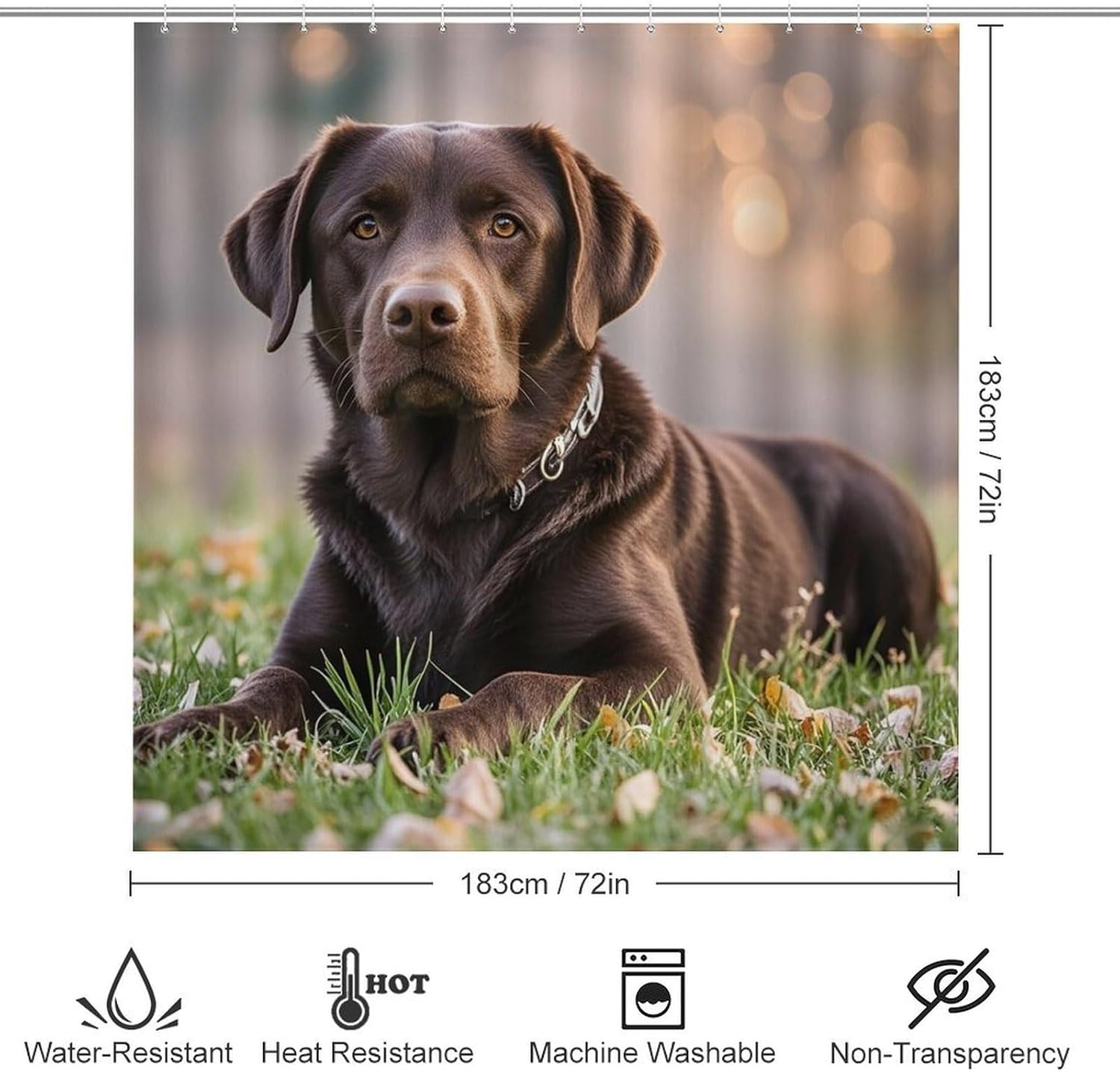 4 Piece Bathroom Rug Set with Shower Curtain, Non-Slip Bath Mat Toilet Cover Set, Brown Labrador Retriever Bathroom Rug Sets