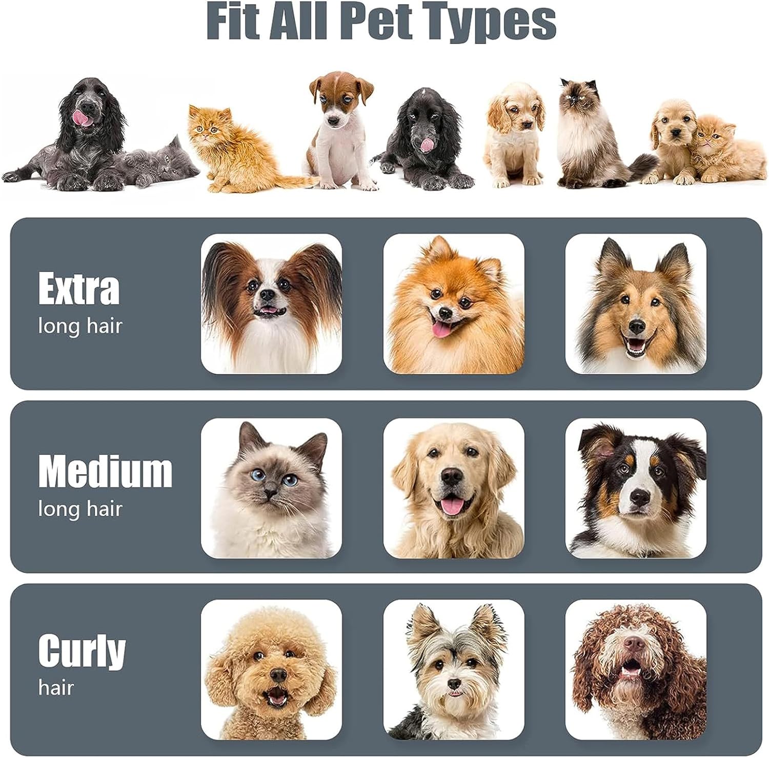 5 in 1 Pet Grooming Kit & Vacuum Suction 99% Pet Hair, 2.3L Large Capacity Easy Clean,Professional Grooming Clippers with 5 Grooming Tools for Dogs Cats and Other Animals