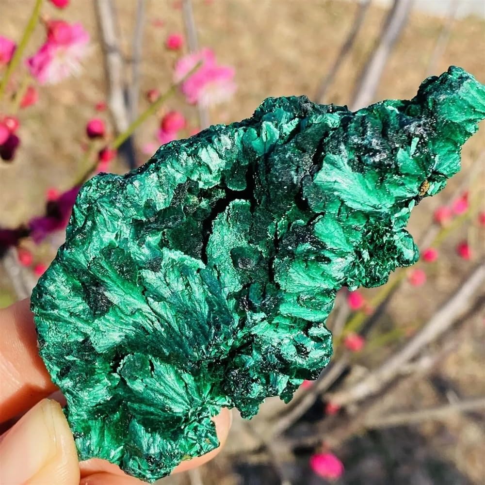 LLBOGRGGN Beautiful Velvet Malachite Crystal Cluster Quartz Ornaments (Size : 700-750g)