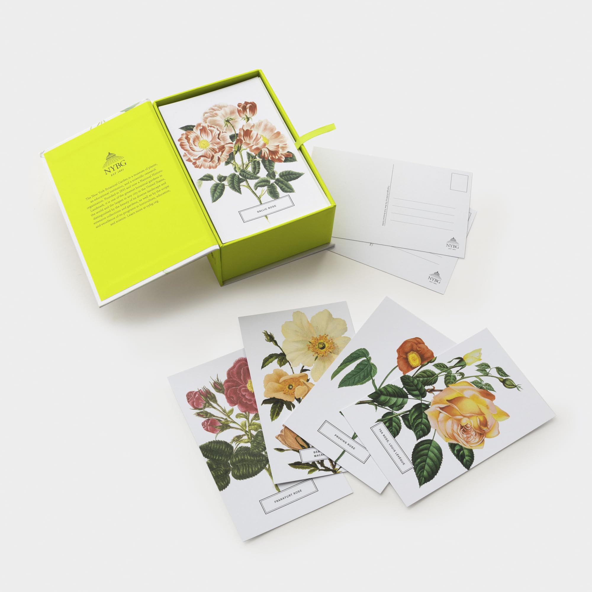 Roses: 100 Postcards from the Archives of The New York Botanical Garden