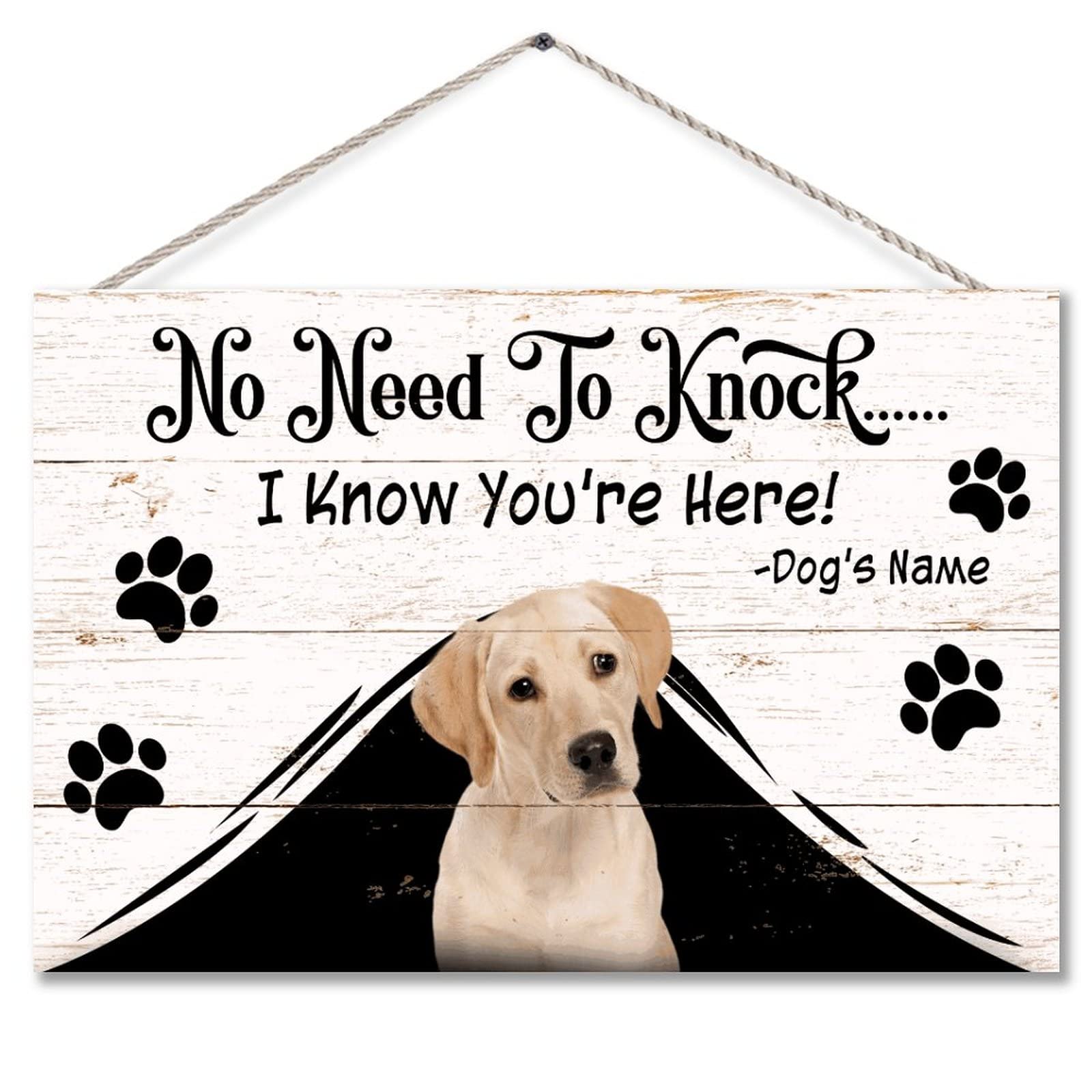 What Is Needed To House A Labrador Retriever