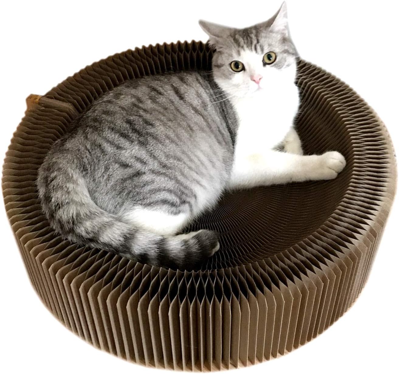 Alfie Pet - Yael Cat Scratcher Cardboard, Collapsible Cat Scratcher Lounge Bed with High Density Recycled Corrugated Kitty Scratching…