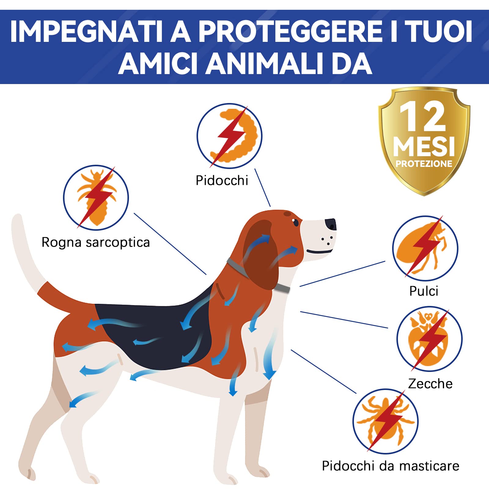 Collare Antiparassitario Per Cani, Antipulci Sicuro E Composto Da Oli Essenziali Naturali Al 100%, Efficacia 12 Mesi 65cm Antizecche Per Tutte Le Taglie