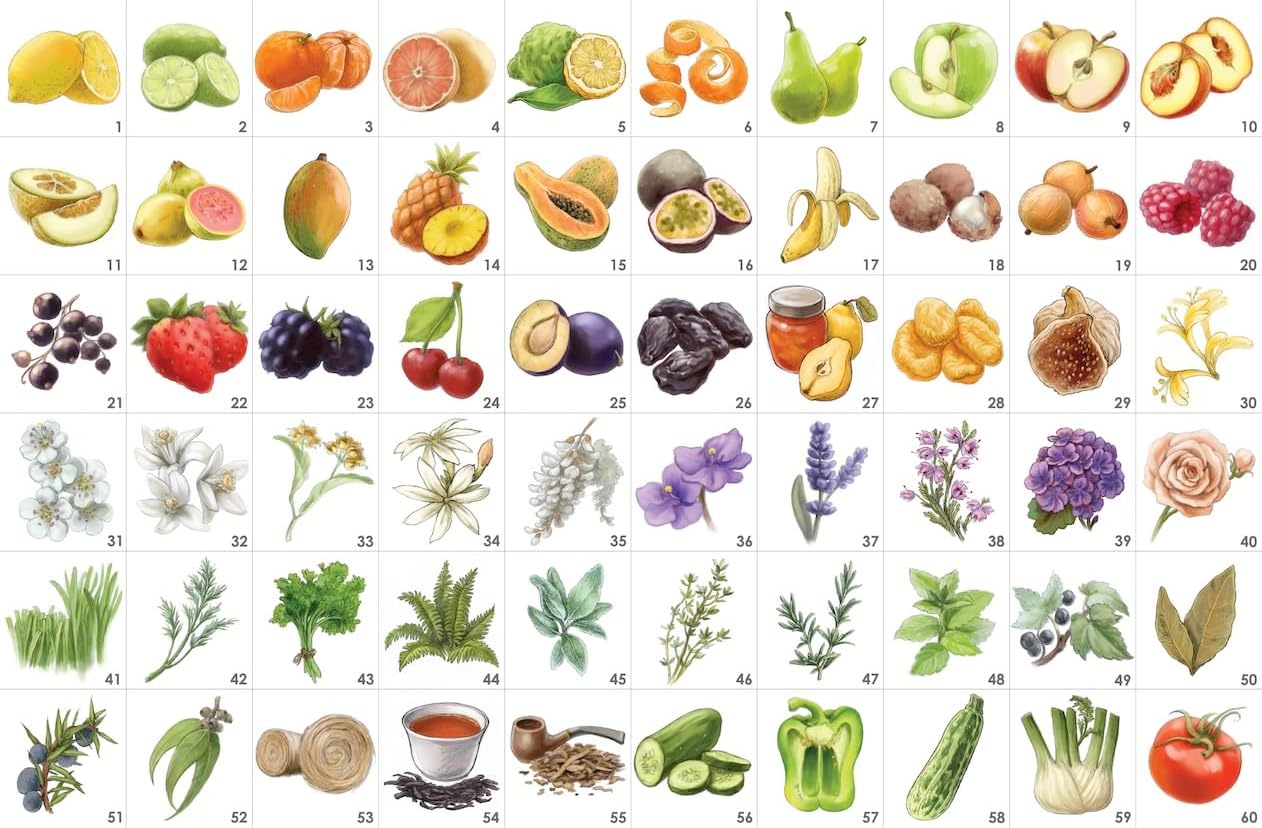 Aromathèque - The Nosing Kit of 120 Aromas by Aromaster