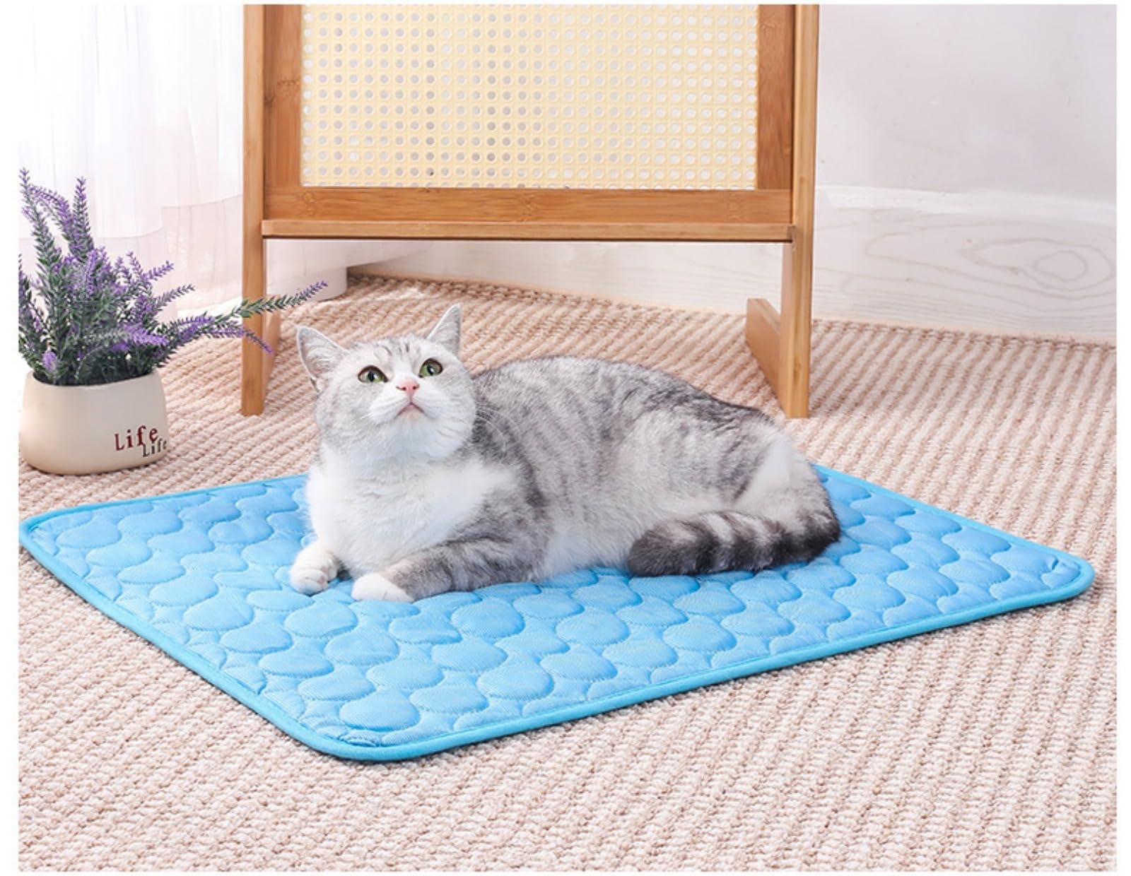 Générique Kühlmatte für Hunde, Pet Cooling Mat, wasserdicht und leicht zu reinigen, geeignet für kleine und große Haustiere, Frischematte für Katzen