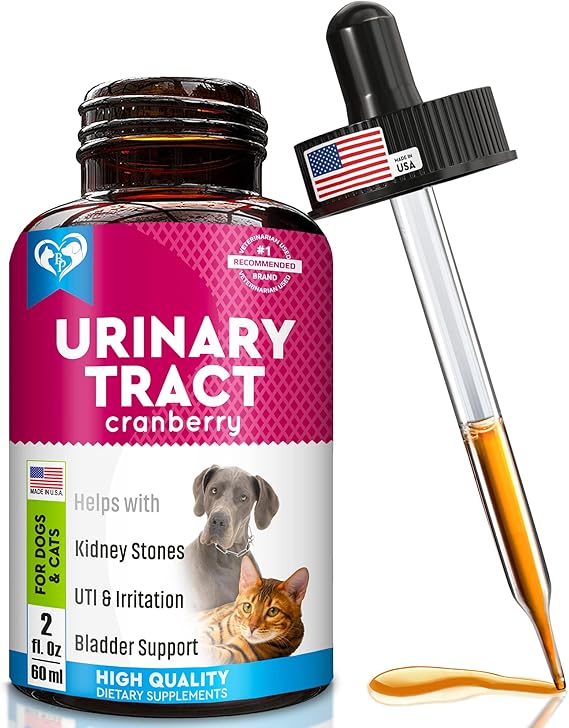 Cat & Dog Urinary Tract Infection Treatment & Natural UTI
