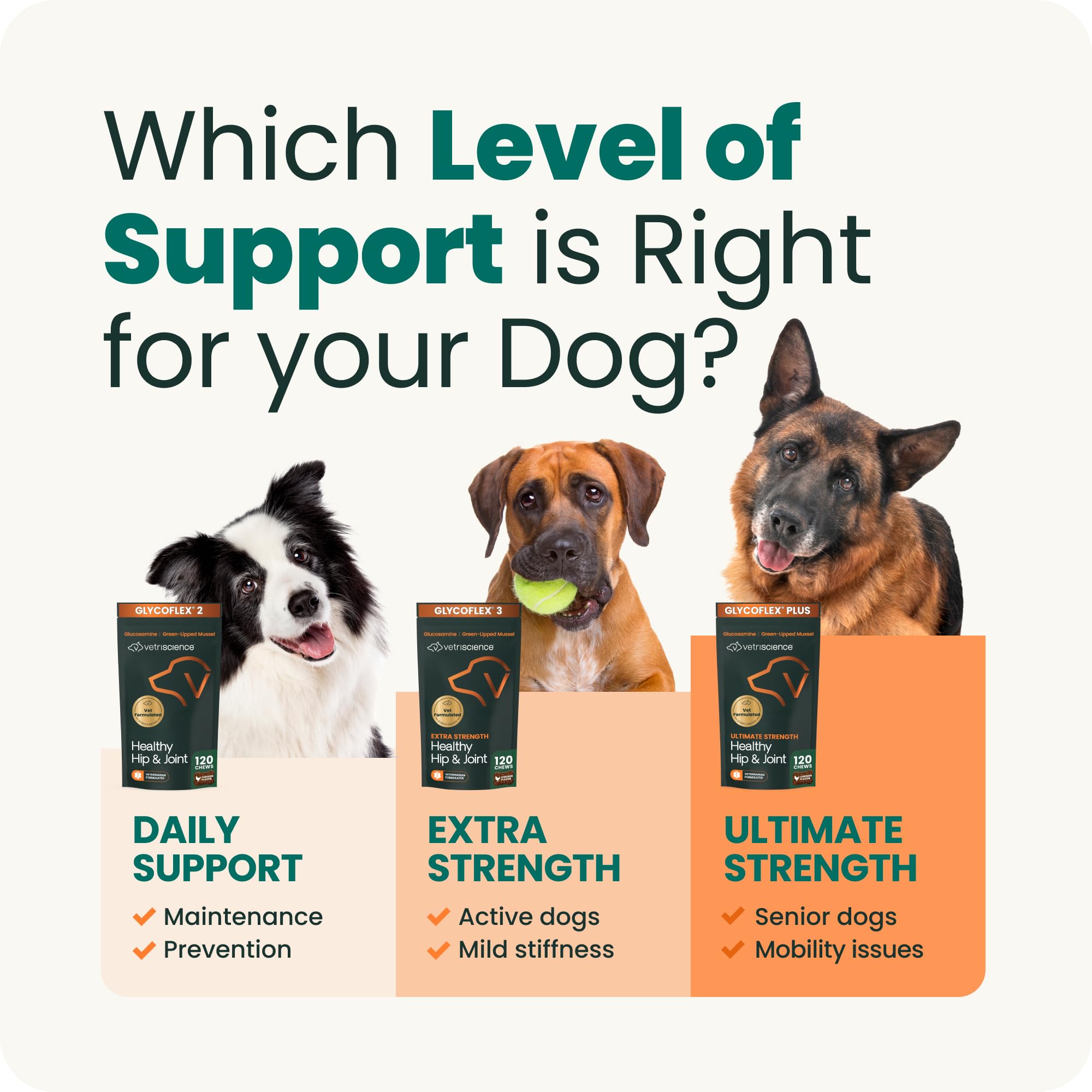 VetriScience Extra Strength Hip & Joint Supplement for Dogs, GlycoFlex 3 – Vet Formulated Glucosamine, MSM & Green-Lipped Mussel Chews for Mobility, Flexibility & Joint Support, Chicken Flavor, 120ct - image 8