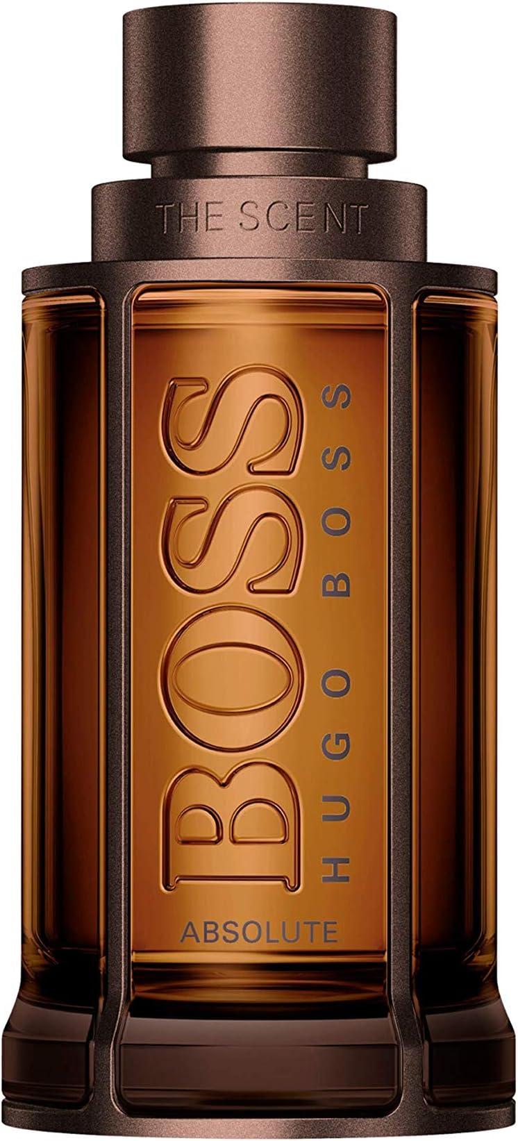 The Scent Absolute Perfume for Men Eau De Parfum 50ML