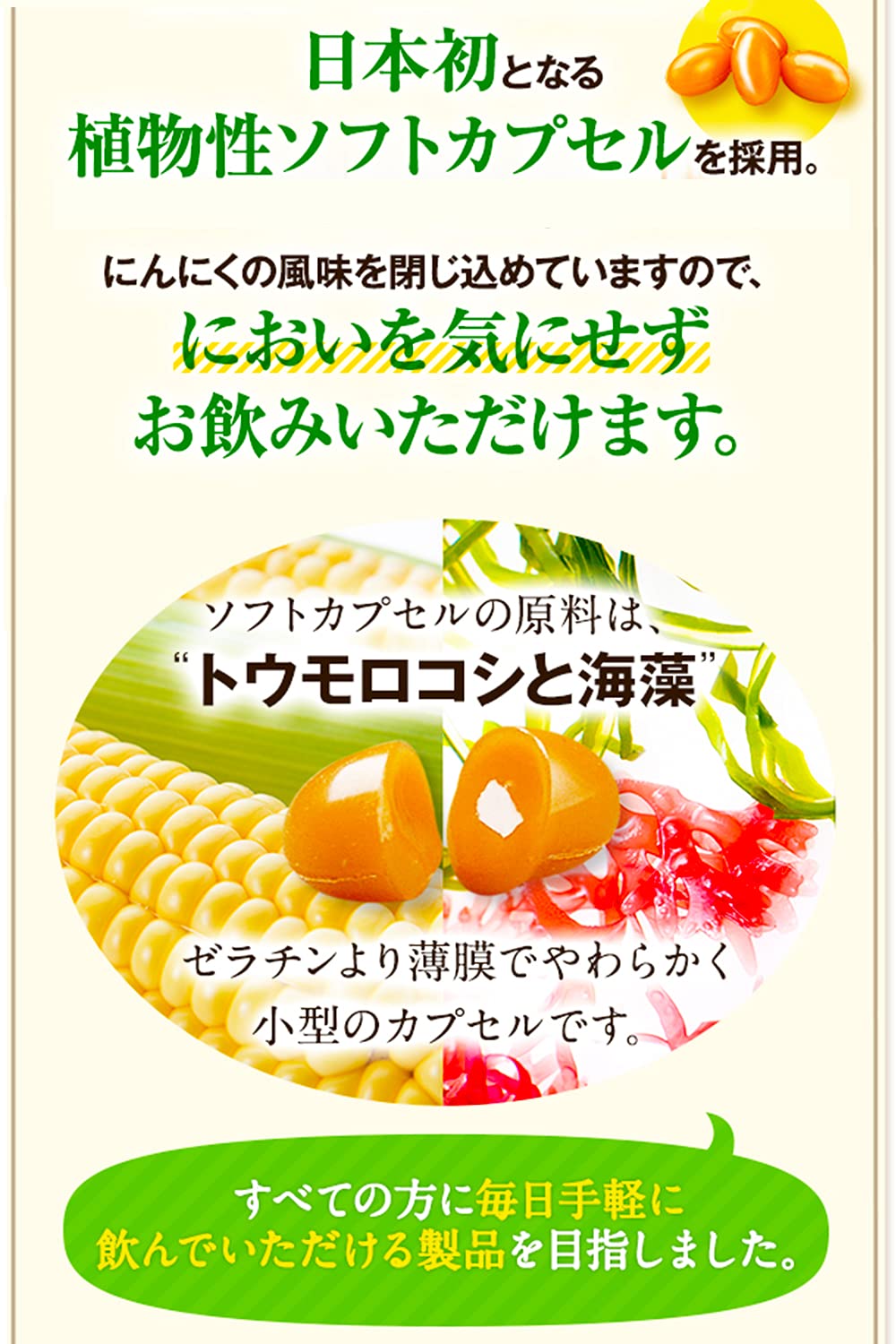 にんにく卵黄（ソフトカプセル） Amazon.co.jp: 健康家族 機能性表示食品 伝統にんにく卵黄 62粒入 約31