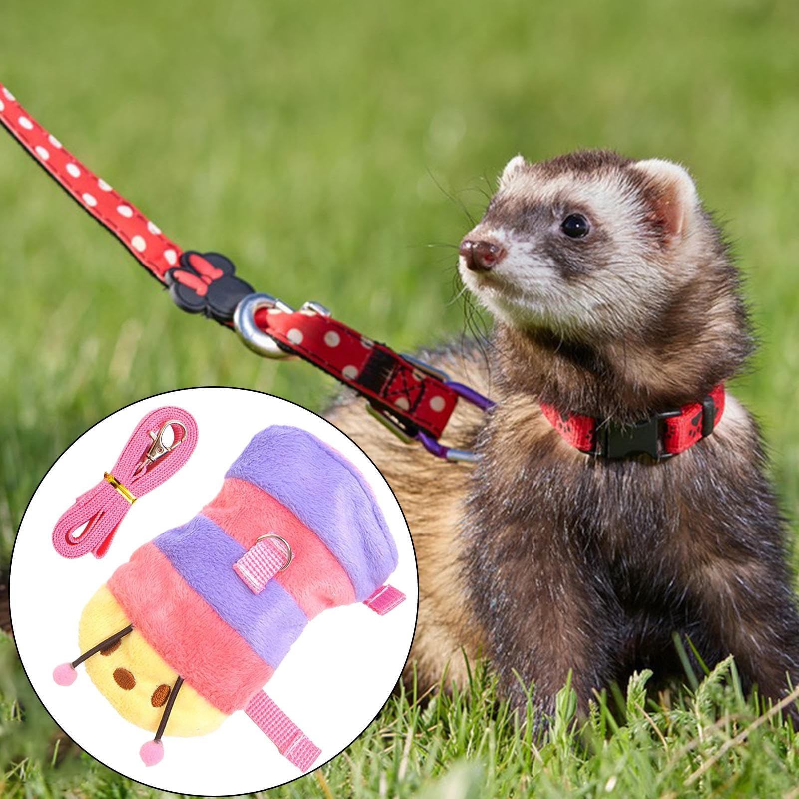 Laisse réglable pour Furet, Harnais et Laisse | Gilet réglable pour Petit Animal de Compagnie, Accessoires pour Dressage de hérisson, Chiot, Lapin, Chaton, Raton Laveur en Plein air