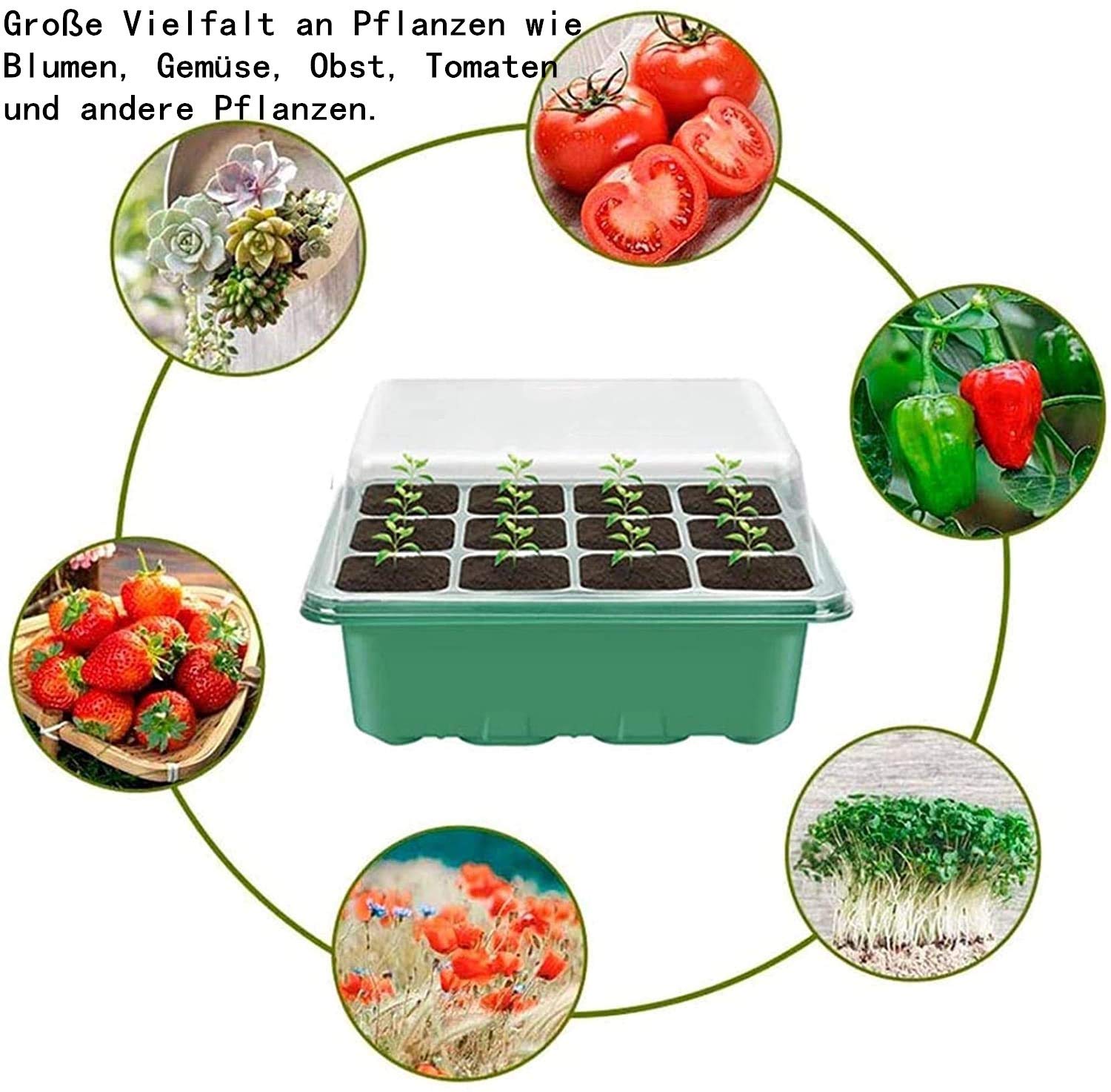 Voarge Invernadero de interior, con 12 agujeros para plantas y tapa, para invernadero, cultivo, macetas, macetas, macetas, jardineras
