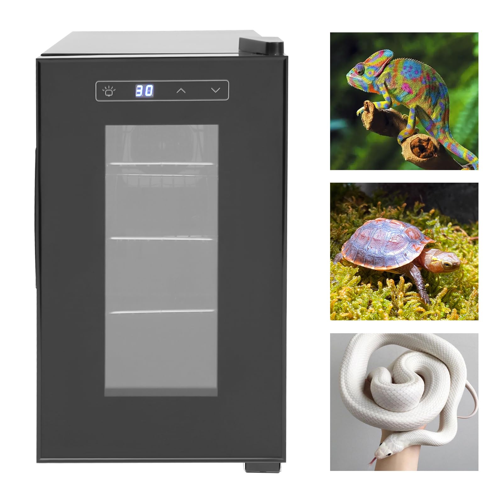 Reptile Incubator 23L Scientific Lab Incubator Digital Incubator Cooling and Heating 10-40°C Reptile Egg Incubator for Turtle Lizard Gecko Snake Black