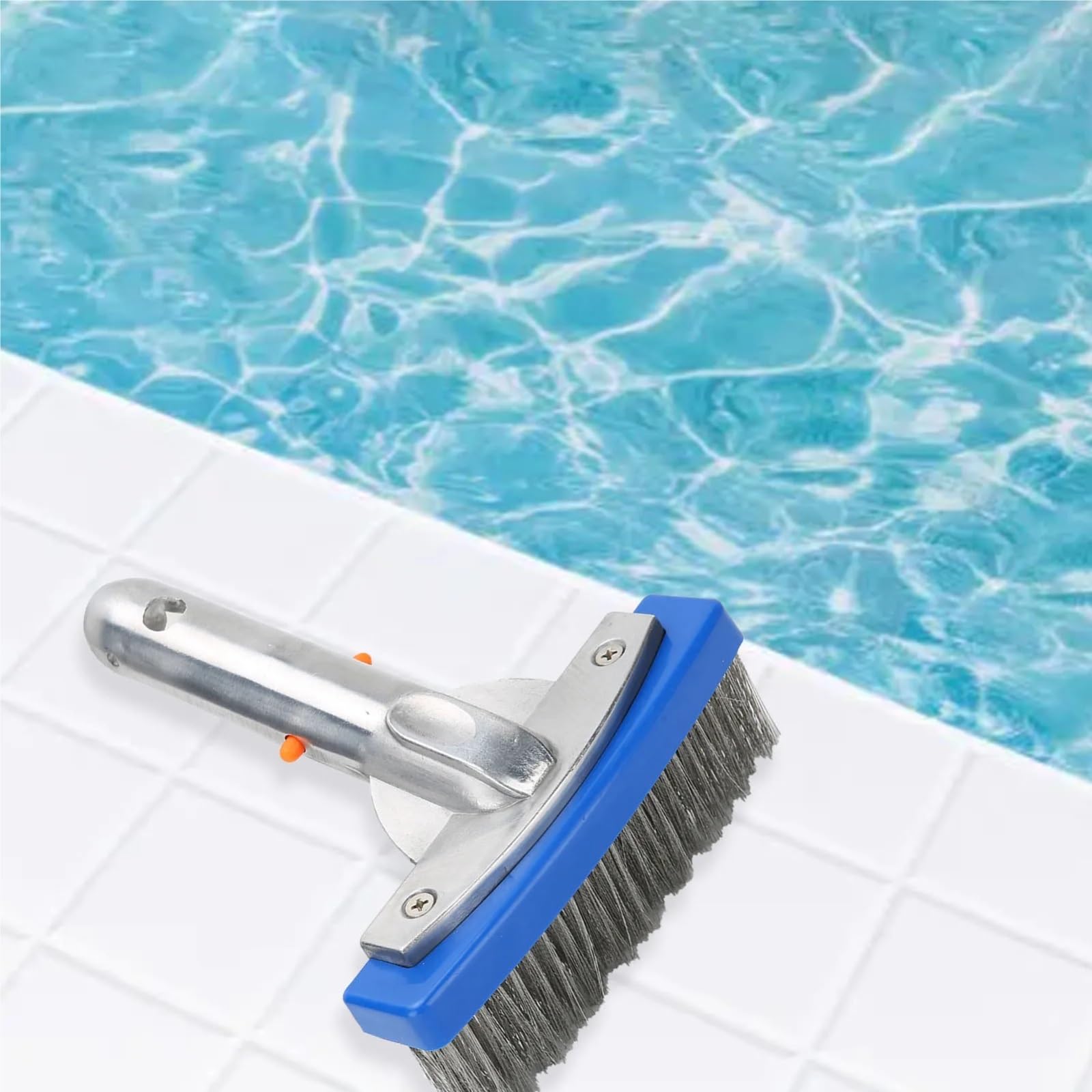 Cepillo De Piscina Limpieza de la Pared del Piso Cepillo Acero Inoxidable Piscina 5, Pulgadas