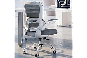 Ergonomic Desk Chair with Adjustable Lumbar Support