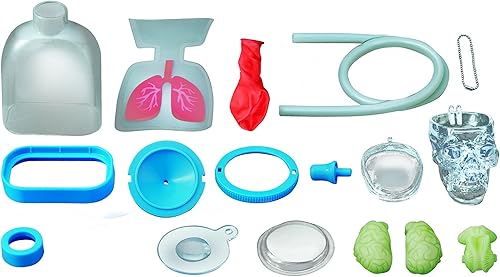 Miniatura 3 de 4M Kit de aprendizaje de órganos humanos