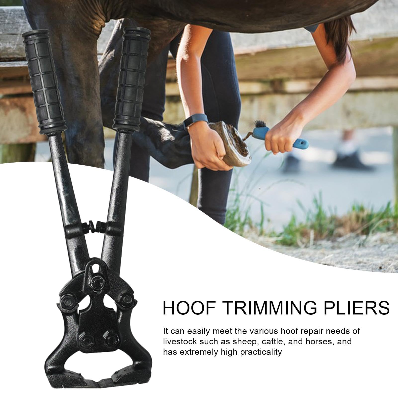 Alicates Para Cascos De Caballo Herramientas Y Dispositivos De Reparación | Tenazas De Acero Al Carbono Para Cabras Ovejas En Caballos Ganado Bovino Alpacas Y Ovejas