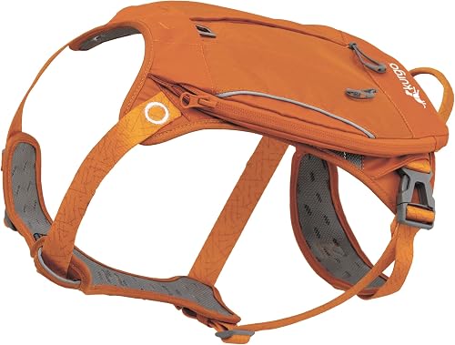 Kurgo Harnais Cascade, Sac à Dos de randonnée pour Chiens, Harnais pour Animaux 
