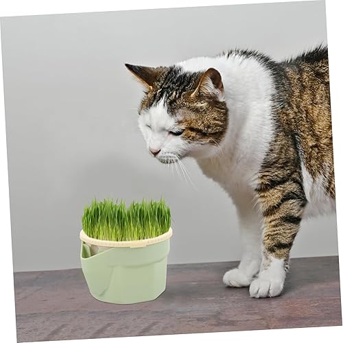 Miniatura 2 de Mipcase Plantas de interior Gato Hierba Taza Hidropónica Plantas Hidropónicas Plantas Hidropónicas Gato Plantador Plantador Mascotas Hierba para