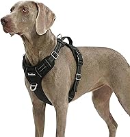 Vista 49 de Funfox Arnés para perro sin tirones, arnés de chaleco ajustable para mascotas, material súper suave con mango vertical, fácil control, paseo