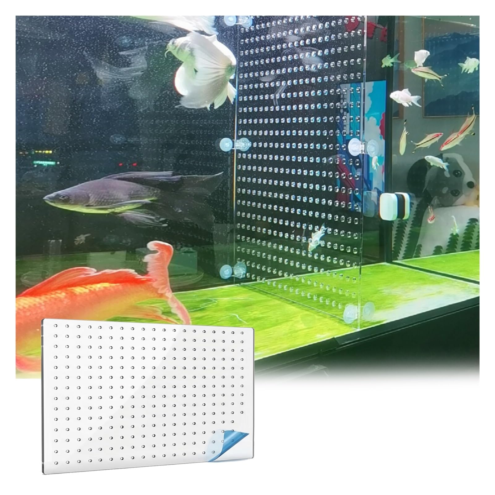 Séparateur d'Aquarium pour Circulation d'eau, Cloison Acrylique 5mm, Panneau d'Isolation Transparent avec Ventouses(80x80cm)