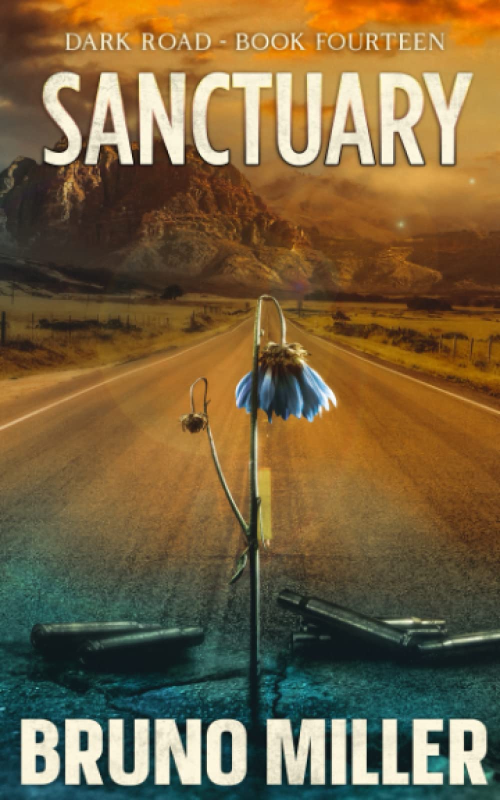 Sanctuary: A Post-Apocalyptic EMP Survival series 14 (Dark Road)