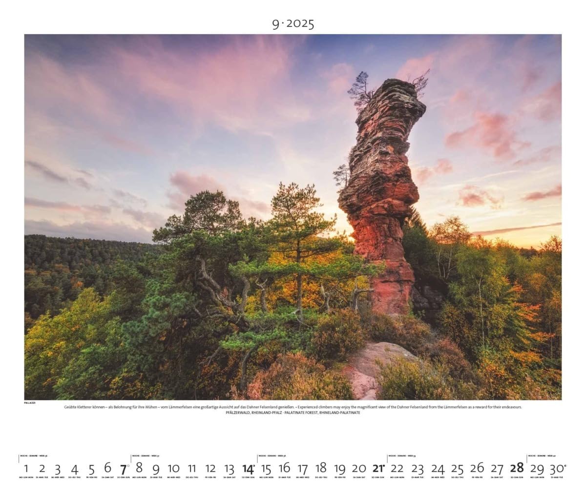PALAZZI - Naturland Deutschland 2025 Wandkalender, 60x50cm, Posterkalender mit schönen Bildern aus Nationalsparks und Naturschutzgebieten, Felder, Wiesen und Wälder