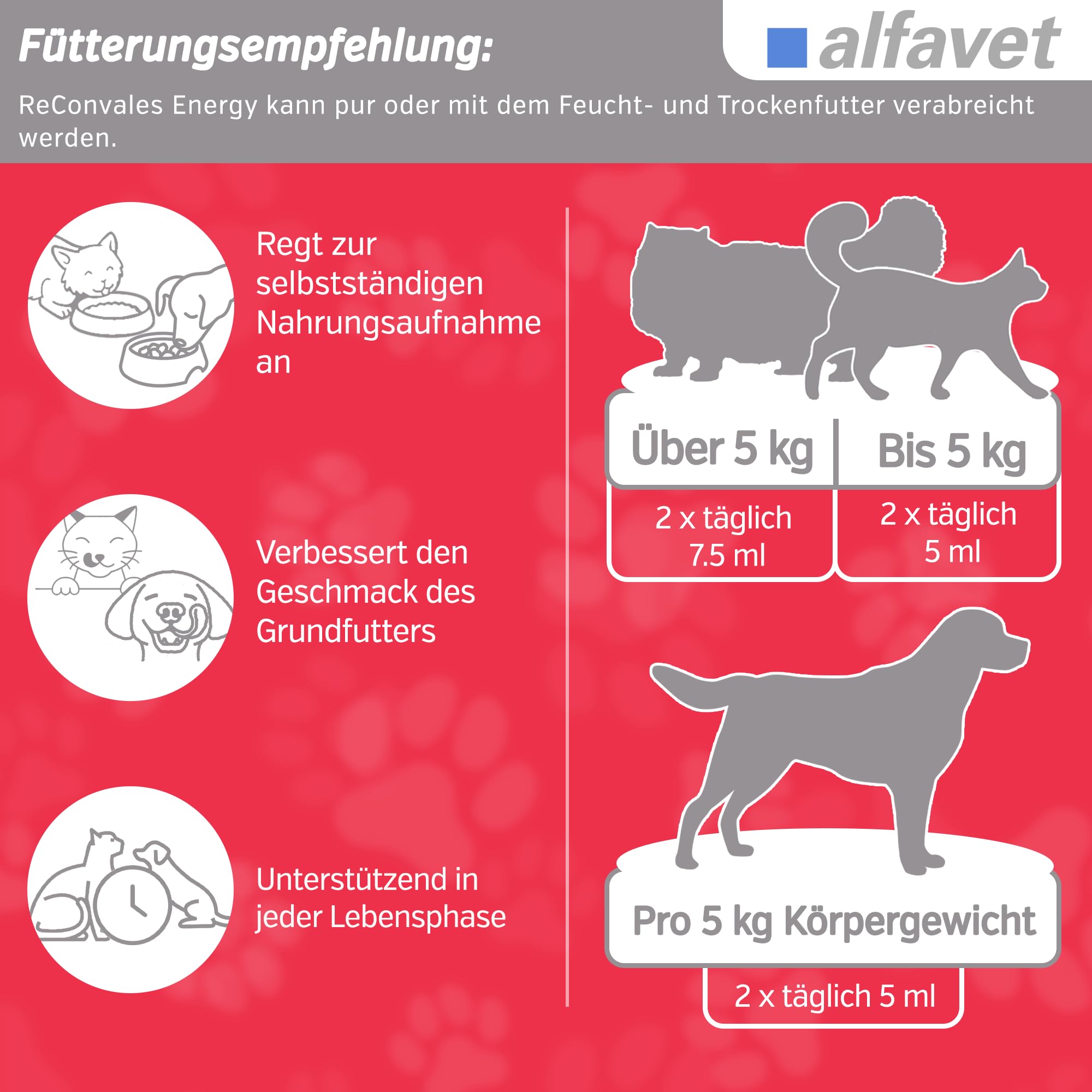 alfavet ReConvales Cardio, 3 x 90ml Flaschen, zur Unterstützung der Herzfunktion von Katze und Hund, Ergänzungsfuttermittel mit Carnitin