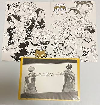 ハイキューリミックス1〜8,10〜17  16冊　特典付き ハイキューリミックス1〜8,10〜17 16冊 特典付き - メルカリ