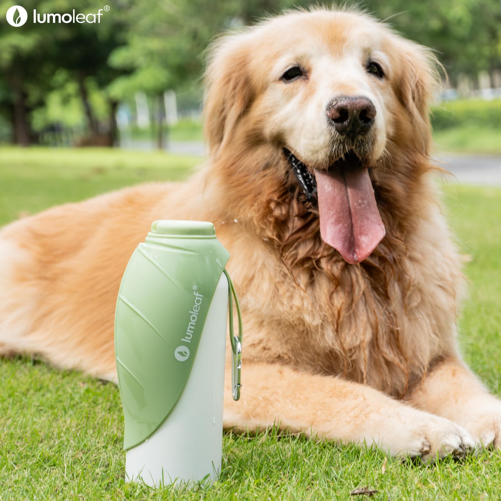 LumoLeaf Borraccia termica per cani, in acciaio inox, 765,4 g, mantiene l'acqua fresca o calda, ciotola portatile per animali domestici, per viaggi, bocca larga per un facile riempimento e pulizia del