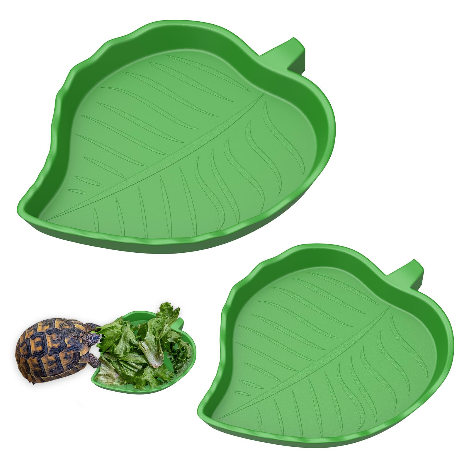Pawfly 2 Piezas Plato de Agua para Reptiles, Tazón de Agua para Reptiles, Tazón de Agua para Dragón Barbudo, Plato de Alimentación para Mascotas para Tortugas Pequeñas Serpientes Lagartos, 2 Tamaños