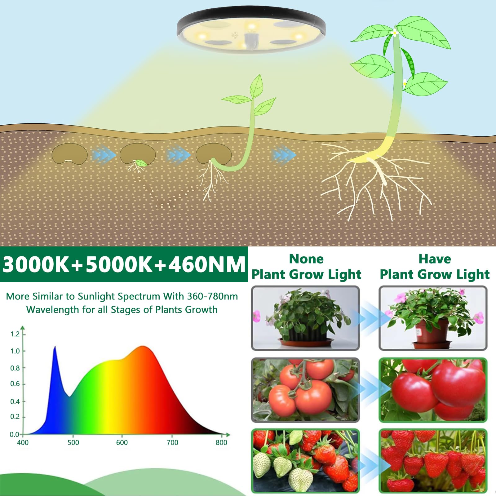 ZLPBAO Mini Serra Germinazione, Confezione da 5 vassoi per semi con luce di coltivazione per serre e giardini,Mini Serra per Piantine Semina Germinazione di Piante in Crescita