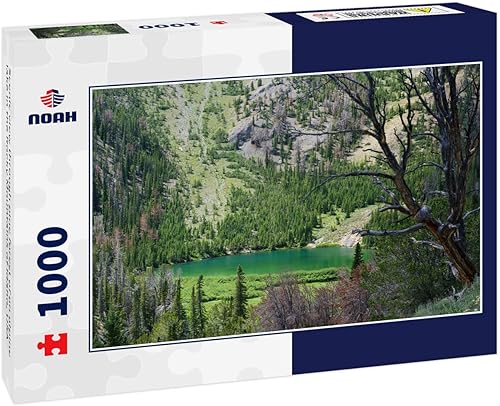 Noah - Rompecabezas de 1000 piezas con vista panorámica a través del bosque de pinos de un lago alpino en las montañas rocosas de Idaho, EE. UU