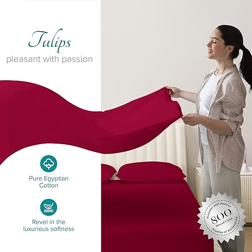 Miniatura 2 de Carressa Linen Sábanas 100% de algodón egipcio, sábanas de algodón de 800 hilos de 4 piezas para cama de tamaño matrimonial, sábanas de hotel de