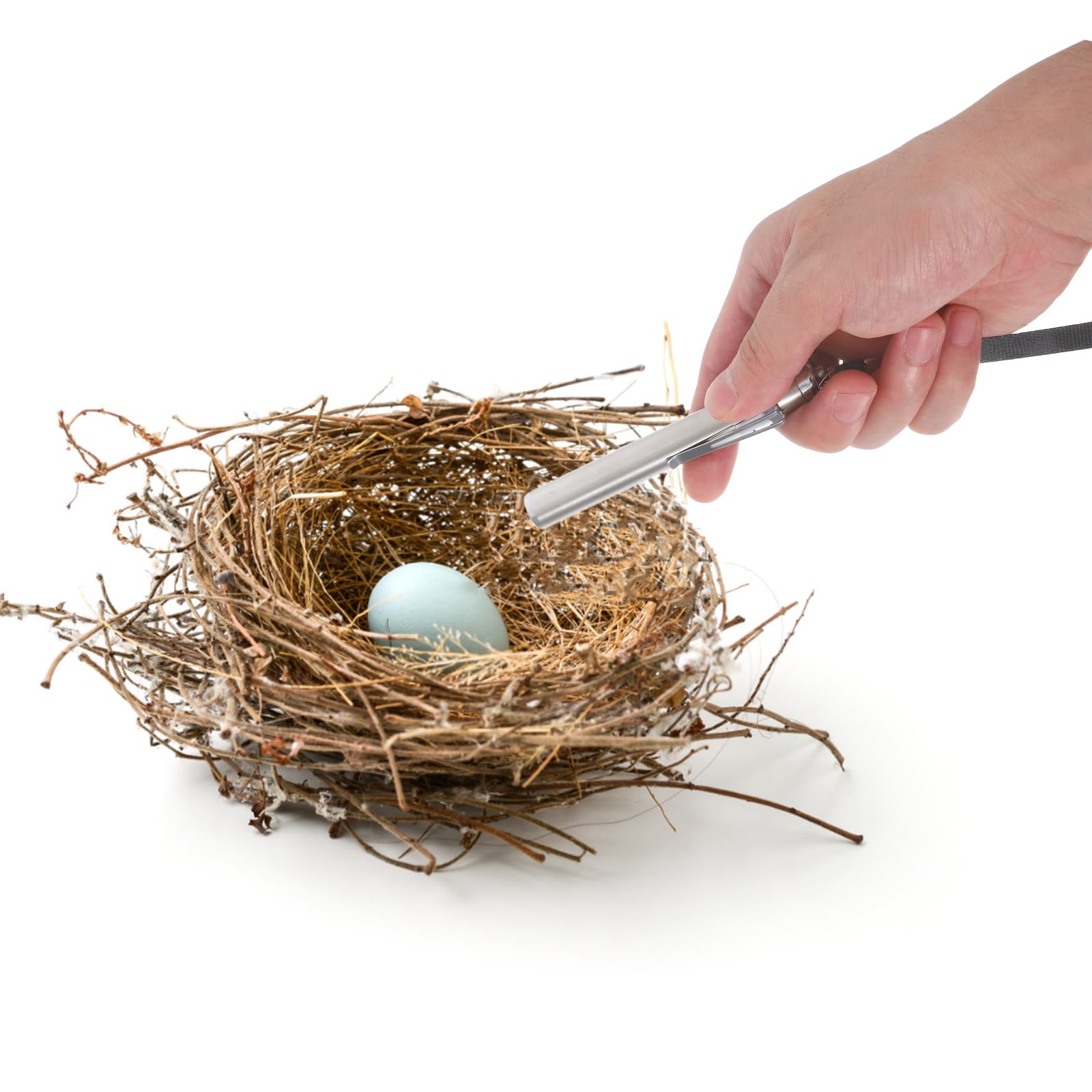 Mipcase Linterna De Incubación Para Huevos De Codorniz Y Aves De Corral Con Luz Fría Portátil Antorcha Profesional Herramienta De Ovoscopio Precisa Para Equipo De Incubación