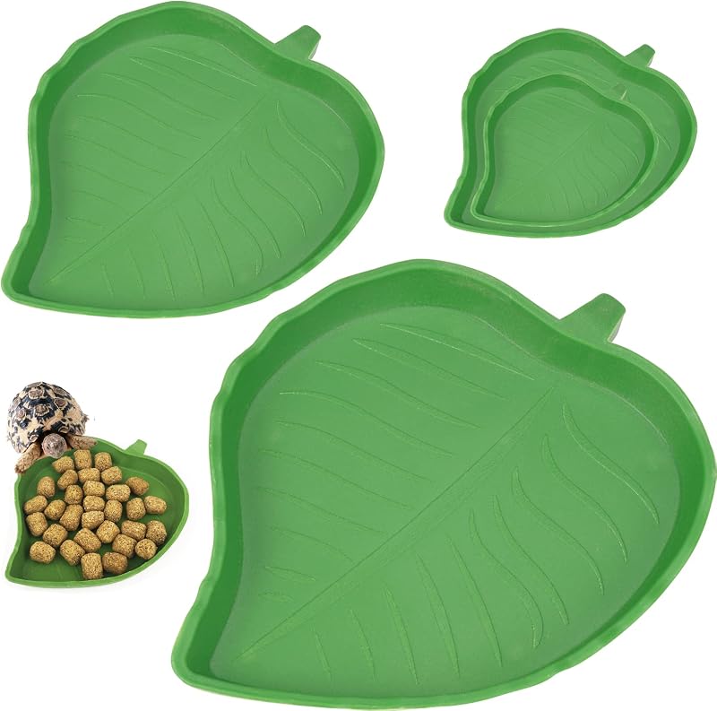 Casa delle Tartaruga 2 Ciotole per Rettili e Accessori per Tartaruga, Acqua